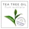 Hask Tea Tree Oil And Rosemary Invigorating Shampoo 355ml