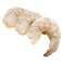 Frozen Shrimps Queen Peeled
