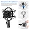 Neewer NW-800 Pro Cardioid Studio Condenser Microphone Set with Shock Mount, Ball-type Anti-wind Foam Cap, 3.5mm to XLR Audio Cable for Recording Broadcasting YouTube Live Periscope (Black(gold))
