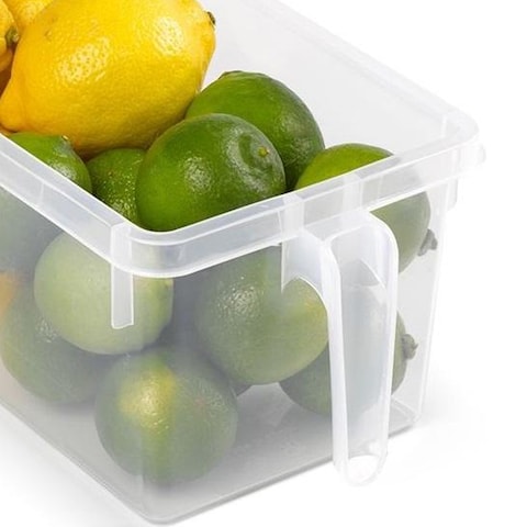 PLASTIC FORTE  Fridge Organizer &amp; Drawer with Handle, Semi-Transparent