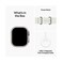 Apple Watch Ultra 2 GPS  Cellular, 49mm Titanium Case with White Ocean Band