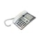 Gaoxinqi Hcd399(314v) Corded Phone - Silver
