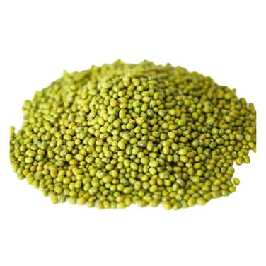 Eva Green Gram Premium