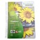 Sinarline 4 Subject Notebook with Polypropylene Cover 160 Sheets 9.5x7-inch