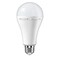 Wasan Led Emergency 12 Watt 