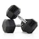 Harley Fitness 22.50KG Rubber Coated Fixed Hex Dumbbell 1 Pair
