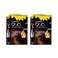 Garnier Olia Ammonia-Free Permanent Hair Colour 5.3 Golden Brown Pack of 2