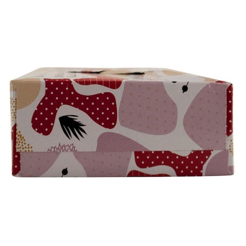 Carrefour Economic Soft Facial Tissues 100 Sheets