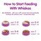 Whiskas Junior Tuna Cat Food 2 To 12 Months 4x80gr