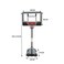 Fully Adjustable Freestanding Basketball Backboard Stand And Hoop Set