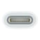 Apple USB-C to Pencil Adapter White