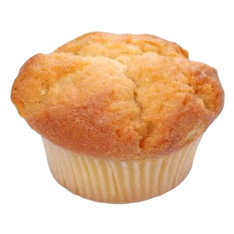 Plain Muffin
