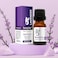 BEAUTY VOC LAVENDER ESSENTIAL OIL 10ML
