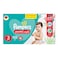 Pampers BabyDry Pants with Aloe Vera Lotion Size 3 (6-11kg) 105 Diapers