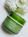 Jadole Naturals Matcha Facial Green Tea Mud Mask