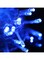 Other 100 Led Light With Controller Blue 22X19X7Centimeter