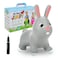My First JUMPY Bunny grey