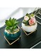 Generic 3Pcs Small Succulent Planter Succulent Plant Pots Plant Container Small Flowerpot Succulent Container For Store Office Home Decoration (Plant Not Included)