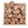 Nutmeg with Shell