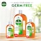 Dettol Antibacterial Antiseptic Disinfectant Liquid, 250ml