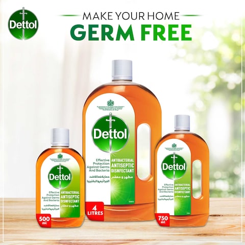 Dettol Antibacterial Antiseptic Disinfectant Liquid, 250ml