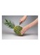 Flagship Stainless Steel Pineapple Corer Slicer Silver/Black 4.5X3.4X9.5Inch