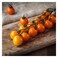 Cherry Tomato Orange per kg