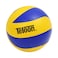 Teloon Volleyball TVL01