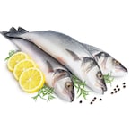 Buy Fresh Sea Bass 1.0-1.5Kg in UAE