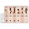 L&#39;Oreal Paris Infallible 24Hr Matte Foundation - 130 True Beige - 35ml