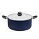 RAJ NONSTICK INDUCTION COOKING POT WITH GLASS LID 22 CM
