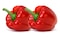 Bio Land Red Pepper - 500 gm