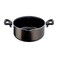 Tefal Xl Intense Pot with Glass Lid - 18 Cm