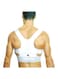 Generic - Magnetic Therapy Posture Corrector