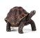 Toy School - Giant Tortoise Figurine