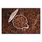 Caffe Mocha Coffee Beans 500g
