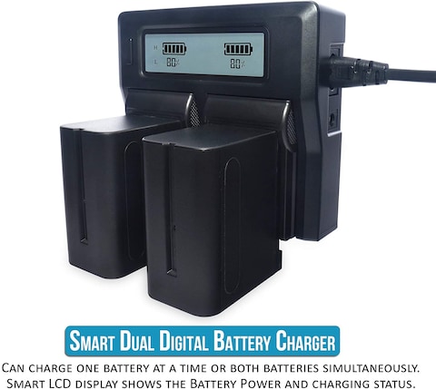 DMK Power 2 Pack NP-F970/NP-F960 Battery 9800mAh and DC-01 Digital Dual Battery Charger for LED Photo Video Lights and Monitor only (Not for Cameras &amp; Camcorder)
