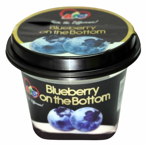 Bio Fob Blueberry Yogurt 150ml x Pack of 2