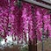 Aiwanto 12Pcs Artificial Flower Hanging Flower Wedding Decor Flowers