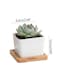 Generic 6 Pcs Geometric Succulent Planter, Set Of 6 White Ceramic Succulent Cactus Square Planter Pots With Bamboo Tray(Plants Not Included)