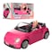 Sariel Doll With A Pink Car