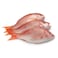Fresh Red Snapper Whole