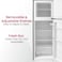 Nobel 125L Net Capacity Defrost R600a Double Door Refrigerator Silver NR185RSI