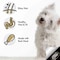 Cesar Chicken Flavoured Wet Food for Dog, 100g Pack of 6