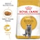 Feline Breed Nutrition British Shorthair Adult 4 KG