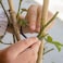 Decdeal - 98 Feet Garden Twine Plant Ties Twist Ties with Cutter for Gardening Plants Secure Vines Wrapping Cords Office Organization