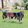Royalford Multi-Functional Highly Durable And Foldable Clothes Drying Rack, 175 X 40 X 108 cm