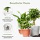 Vsell24 3Kg White Decorative Pebbles Natural River Rock Pebbles For Plants, Home DIY Decor,Aquarium Gravel,Vase Fillers,Fairy Garden,Landscaping Outdoor Stones 3-5mm