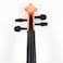 Mike Music 4/4 Violin with Hard Case, Shoulder Rest, Bow, Rosin (4/4 Violin, orange)