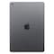 Apple iPad 9th Generation 10.2-Inch 64GB Wi-Fi Space Grey